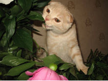 ����������� 027.jpg