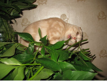 ����������� 057.jpg