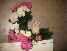 ����������� 012.jpg