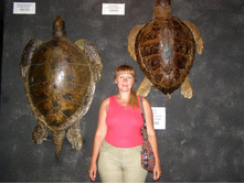 ����������� ��������. :)