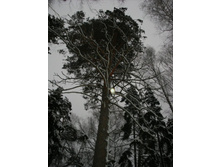 ����� � ����