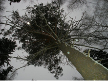 ����� � ����