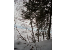 �� ������