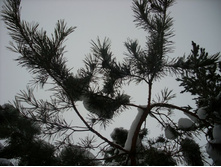 ���� � ����