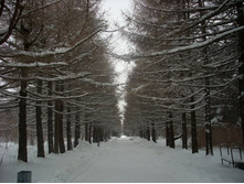 ����� � ����