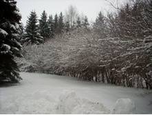 ������ ���, �� ���������