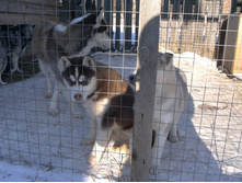 ���� 26.01.12 (6).JPG