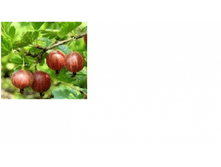 ��������� ������� -104+%.png