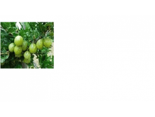 ��������� ��������� �������-125+%.png