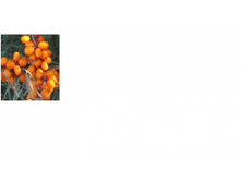 �������� ������-135.png