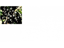 ��������� ������ ���������-104+%.png