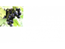 ��������� ������ ������ -104+%.png