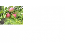 ������ �������� �������� -163+%.png