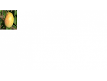 ������ ������ ������� -163+%.png