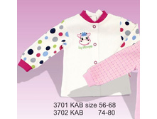 ����0��� ���0��� �������� ����� �������