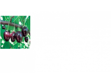 ����� ��������� ��������-209.png