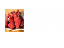 ������ ������-152.png