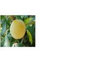 ����� �������� ��������� (������)-209.png