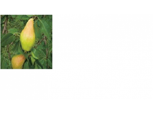 ����� ������-209.png