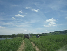 DSC08724.JPG