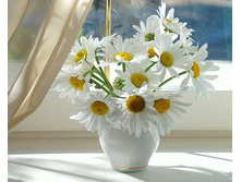 ��������� :)))