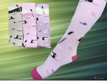 119 ��� - 1 ��