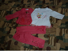 ��������� ���� 80