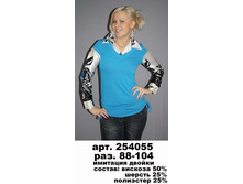 254055  ���� � ���% - 527 ���.