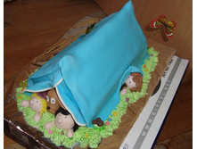 �������