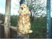 ���� � �������