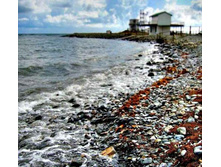 ���-�� ��� ����