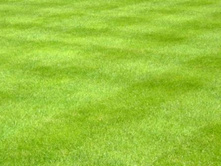 ���������� ���������� 1 �� ��̣��� ������ 185,00 ���..jpg