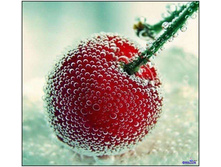 large (3) - �����.jpg