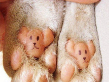 large (4) - �����.jpg