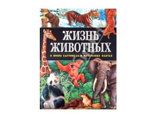 ����� �������� � ����� ��������� � ���������� ������ 390+%.jpg