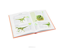 ���������. ���������� ������������.jpg