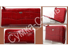 id-22152-12540-primavera-770p-95x20-red-2ed69013.jpg