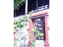 IMG0070A.jpg
