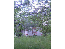 IMG0076A.jpg