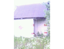 IMG0078A.jpg