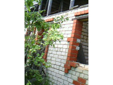 IMG0079A.jpg