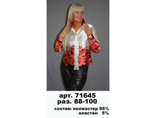 130115 ������ 42-44 (1).jpg