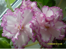 ��-������