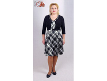 ������ ������