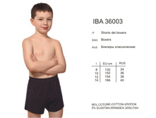 IBA_36003.jpg