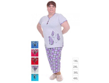 �������� ����� � ����� ������� ������ - 550 ���.