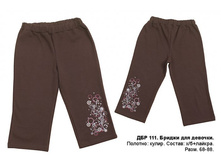 ������ ���� ������-����������