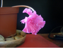 ��������05.12.2009 14:39:51