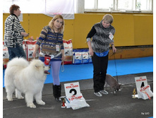 16-DSC_1013.jpg