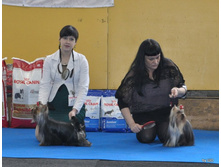 27-DSC_1048.jpg